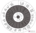 Whisky wheel