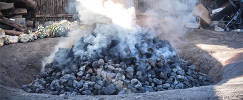 Baking pit for mezcal