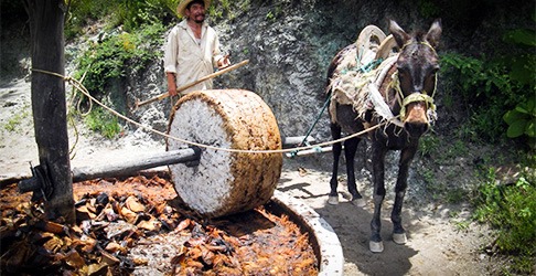 Grinding wheel mezcal