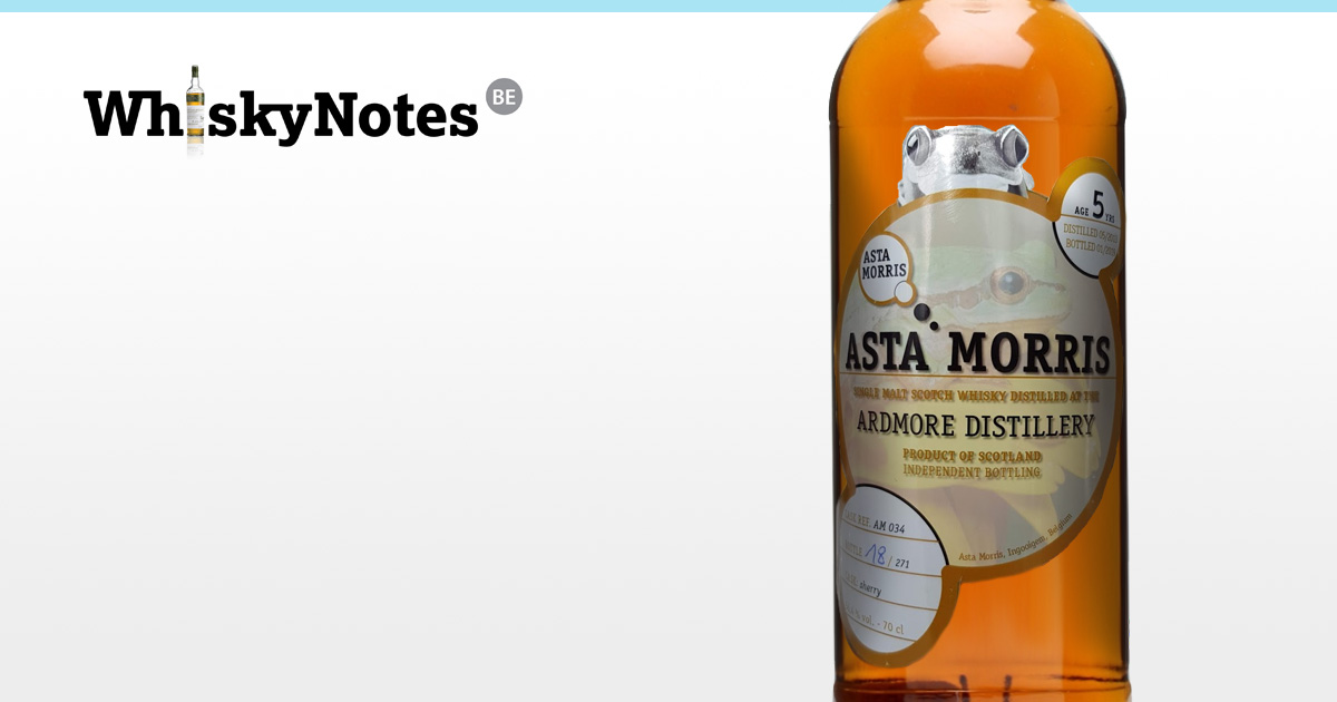 ardmore 2013 5yo asta morris