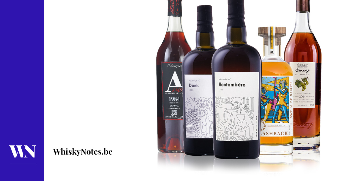 Danis, Hontambere, Duporté, Aurian, Mestépès