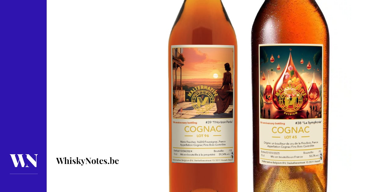 Cognac Fins Bois Lot 96 / Lot 45 (Malternatif) İnceleme