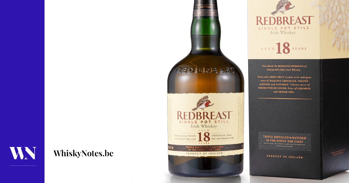 18 -YEAR -Redbrest (2024)